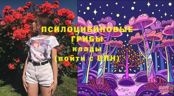 PSILOCYBIN Красноперекопск