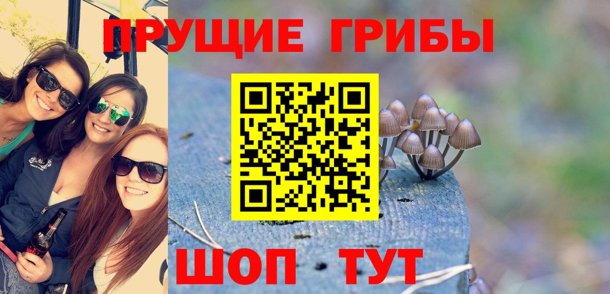 Псилоцибиновые грибы прущие грибы  Вход с VPN  Усолье-Сибирское 