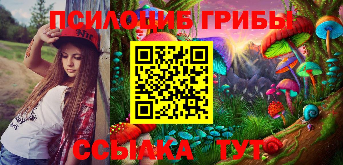 Псилоцибиновые грибы ЛСД Усолье-Сибирское