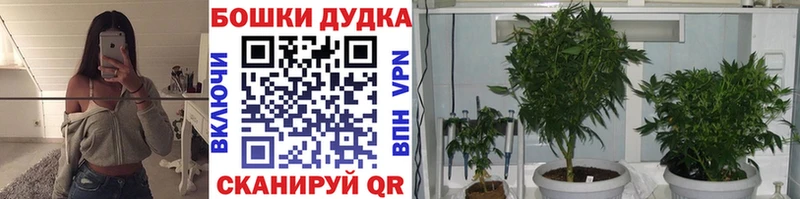 как найти   Усолье-Сибирское  МАРИХУАНА Amnesia 